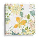 Garden Galore Ii - June Erica Vess | Cuadro decorativo de Canvas Lab