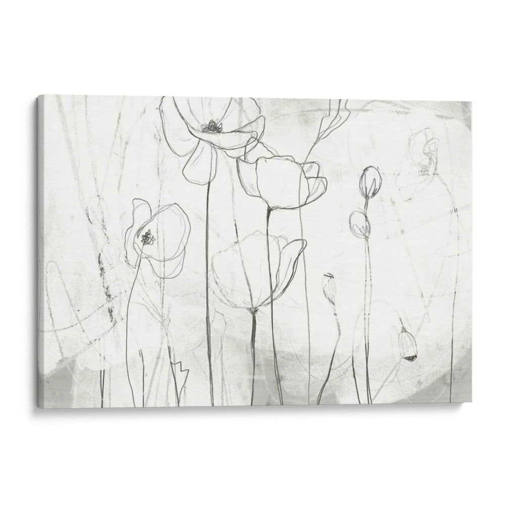 Bocetos De Amapola I - June Erica Vess | Cuadro decorativo de Canvas Lab