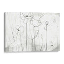 Bocetos De Amapola I - June Erica Vess | Cuadro decorativo de Canvas Lab