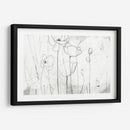 Bocetos De Amapola I - June Erica Vess | Cuadro decorativo de Canvas Lab