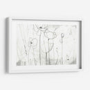 Bocetos De Amapola I - June Erica Vess | Cuadro decorativo de Canvas Lab
