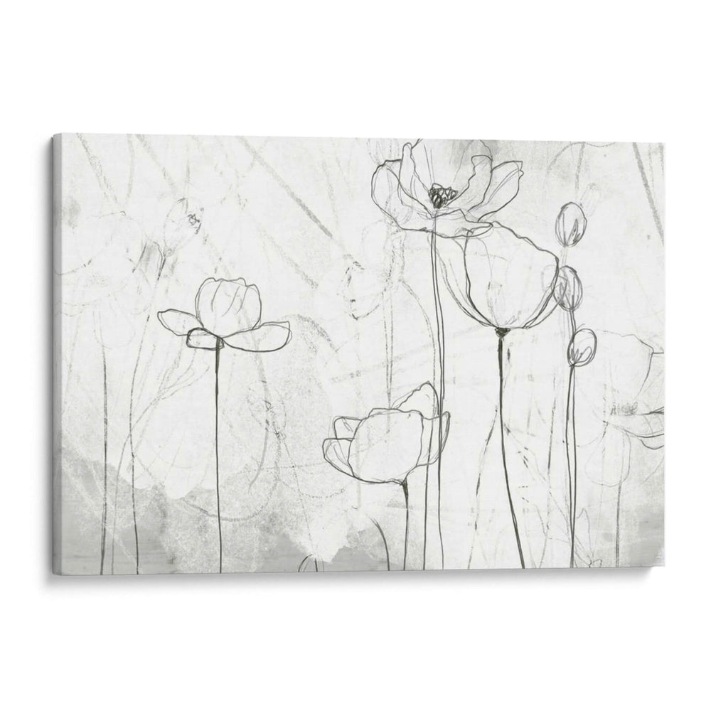 Bocetos De Amapola Ii - June Erica Vess | Cuadro decorativo de Canvas Lab