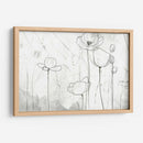 Bocetos De Amapola Ii - June Erica Vess | Cuadro decorativo de Canvas Lab