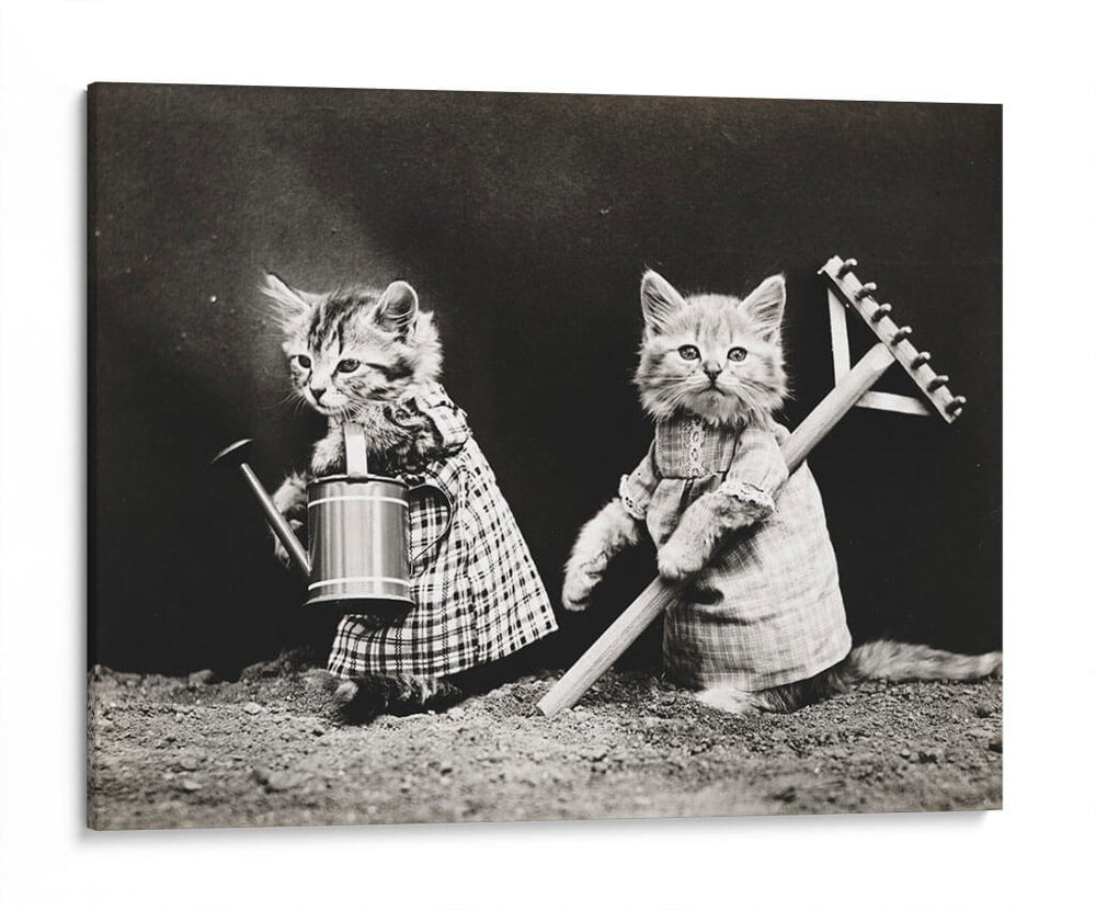 Gatitos jardineros | Cuadro decorativo de Canvas Lab