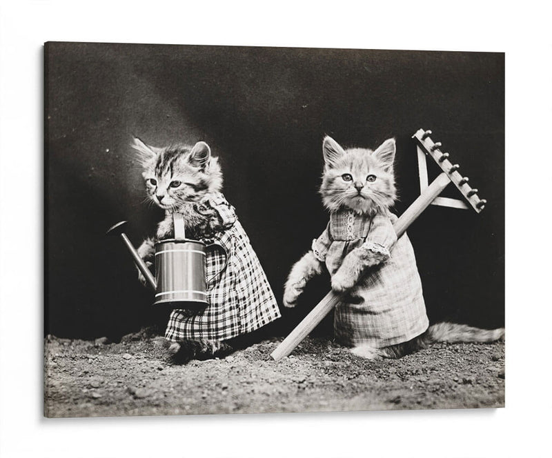 Gatitos jardineros | Cuadro decorativo de Canvas Lab