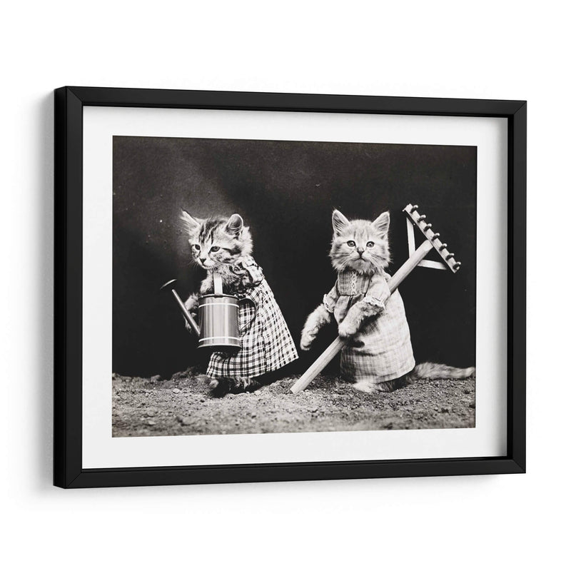 Gatitos jardineros | Cuadro decorativo de Canvas Lab