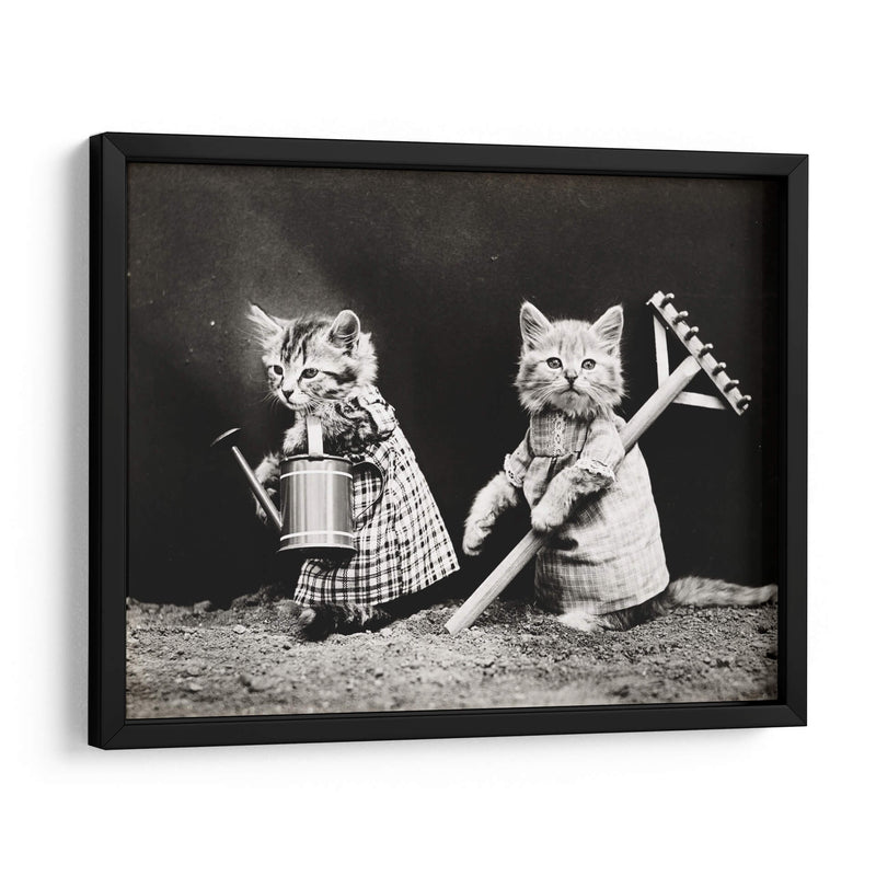 Gatitos jardineros | Cuadro decorativo de Canvas Lab