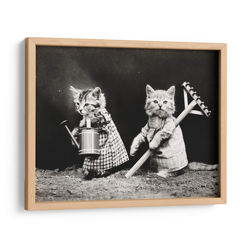 Gatitos jardineros | Cuadro decorativo de Canvas Lab