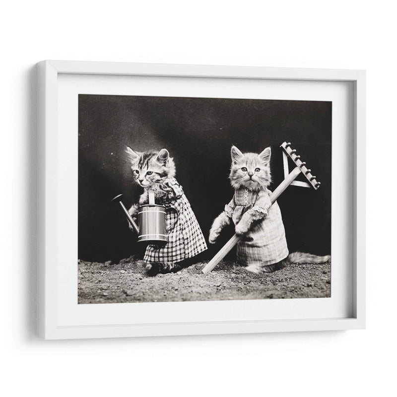 Gatitos jardineros | Cuadro decorativo de Canvas Lab