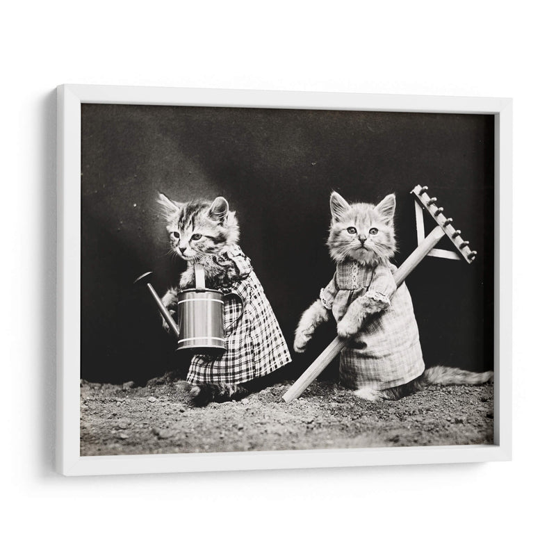 Gatitos jardineros | Cuadro decorativo de Canvas Lab