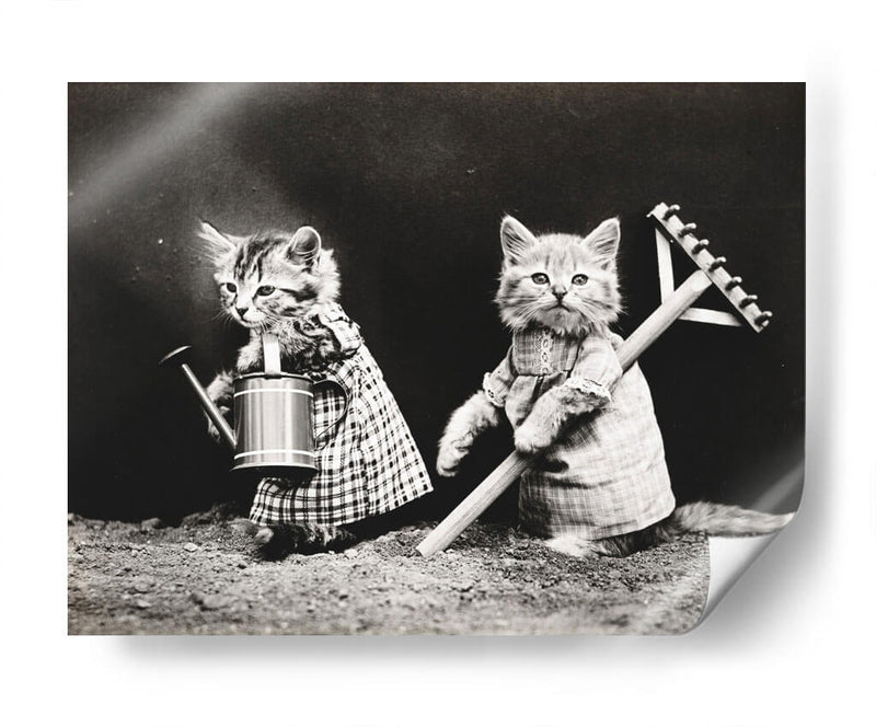 Gatitos jardineros | Cuadro decorativo de Canvas Lab