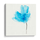 Floraciones Expresivas V - June Erica Vess | Cuadro decorativo de Canvas Lab