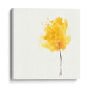 Floraciones Expresivas Vii - June Erica Vess | Cuadro decorativo de Canvas Lab