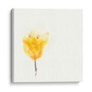 Floraciones Expresivas Viii - June Erica Vess | Cuadro decorativo de Canvas Lab