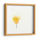 Floraciones Expresivas Viii - June Erica Vess | Cuadro decorativo de Canvas Lab