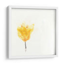 Floraciones Expresivas Viii - June Erica Vess | Cuadro decorativo de Canvas Lab