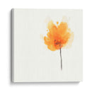 Floraciones Expresivas Ix - June Erica Vess | Cuadro decorativo de Canvas Lab