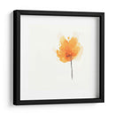 Floraciones Expresivas Ix - June Erica Vess | Cuadro decorativo de Canvas Lab