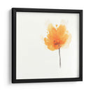 Floraciones Expresivas Ix - June Erica Vess | Cuadro decorativo de Canvas Lab