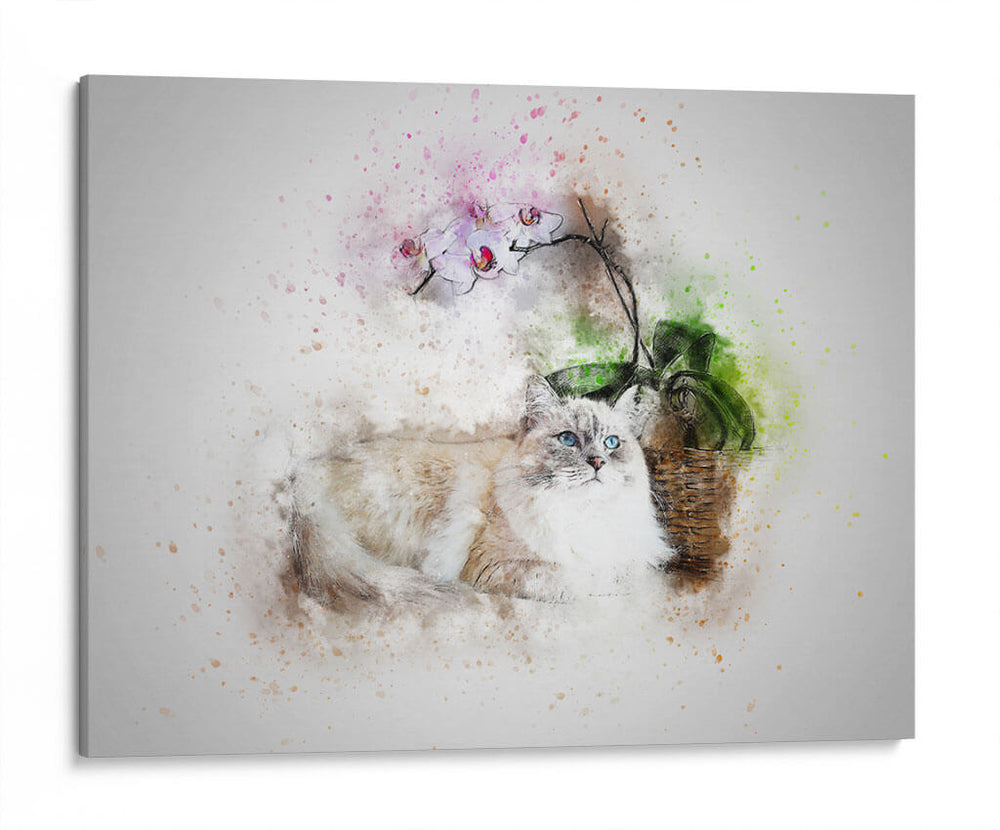 Gato con detalle de acuarela | Cuadro decorativo de Canvas Lab