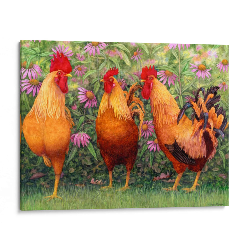 Gallos En Lugar I - Marcia Matcham | Cuadro decorativo de Canvas Lab