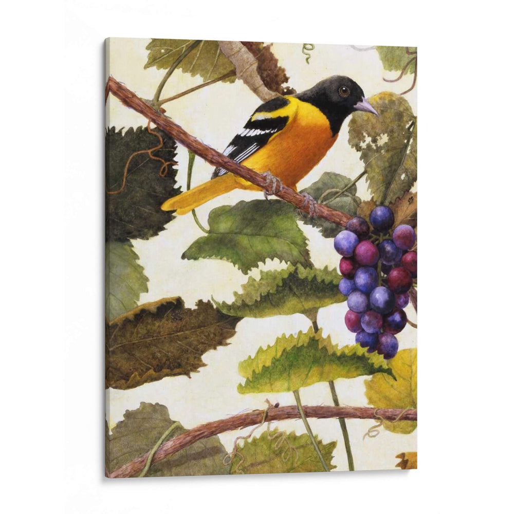 Golden Brillo I - Marcia Matcham | Cuadro decorativo de Canvas Lab