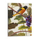 Golden Brillo I - Marcia Matcham | Cuadro decorativo de Canvas Lab