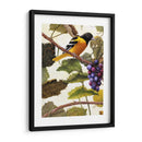 Golden Brillo I - Marcia Matcham | Cuadro decorativo de Canvas Lab