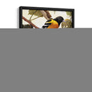 Golden Brillo I - Marcia Matcham | Cuadro decorativo de Canvas Lab