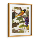 Golden Brillo I - Marcia Matcham | Cuadro decorativo de Canvas Lab