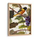 Golden Brillo I - Marcia Matcham | Cuadro decorativo de Canvas Lab