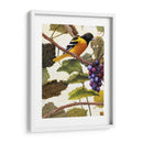 Golden Brillo I - Marcia Matcham | Cuadro decorativo de Canvas Lab