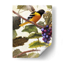 Golden Brillo I - Marcia Matcham | Cuadro decorativo de Canvas Lab