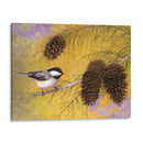 Chickadee En Los Pinos I - Marcia Matcham | Cuadro decorativo de Canvas Lab