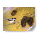 Chickadee En Los Pinos I - Marcia Matcham | Cuadro decorativo de Canvas Lab