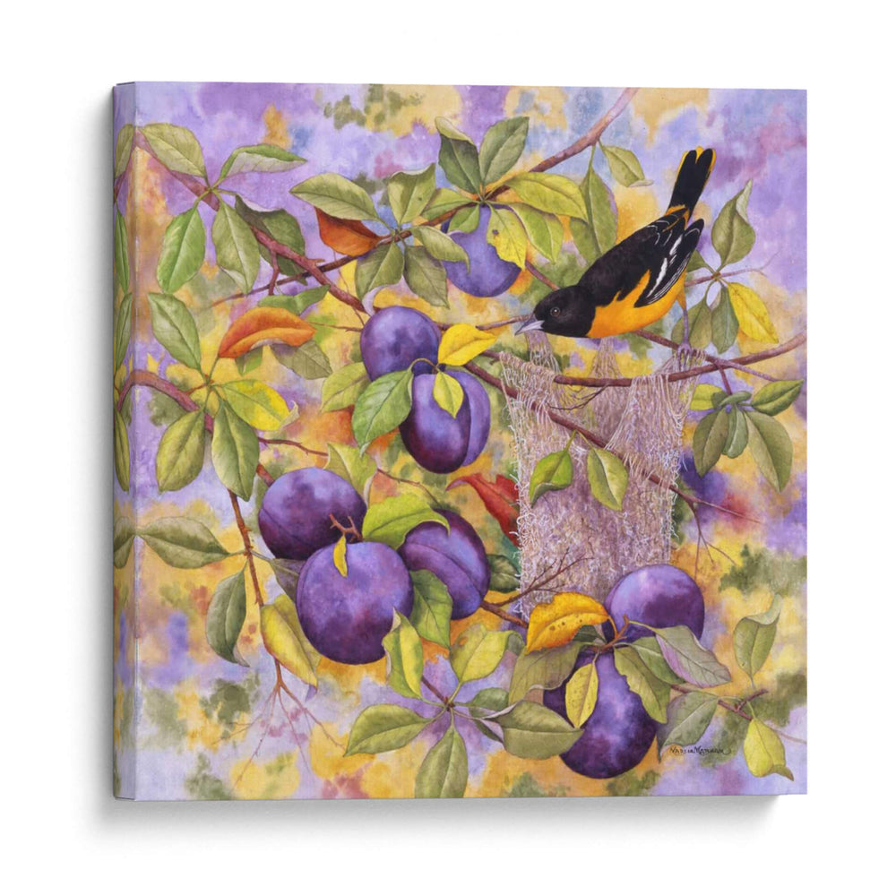 Oriole Y Ciruelas - Marcia Matcham | Cuadro decorativo de Canvas Lab