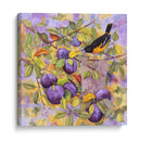 Oriole Y Ciruelas - Marcia Matcham | Cuadro decorativo de Canvas Lab
