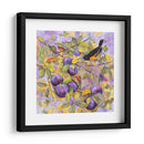Oriole Y Ciruelas - Marcia Matcham | Cuadro decorativo de Canvas Lab