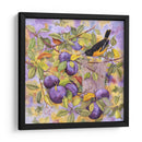 Oriole Y Ciruelas - Marcia Matcham | Cuadro decorativo de Canvas Lab