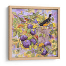 Oriole Y Ciruelas - Marcia Matcham | Cuadro decorativo de Canvas Lab
