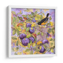 Oriole Y Ciruelas - Marcia Matcham | Cuadro decorativo de Canvas Lab