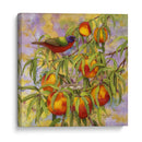 Bunting Pintado Y Melocotones - Marcia Matcham | Cuadro decorativo de Canvas Lab