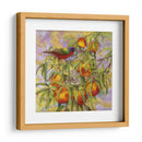 Bunting Pintado Y Melocotones - Marcia Matcham | Cuadro decorativo de Canvas Lab