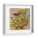 Bunting Pintado Y Melocotones - Marcia Matcham | Cuadro decorativo de Canvas Lab