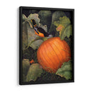 Oriole Y Calabaza - Marcia Matcham | Cuadro decorativo de Canvas Lab