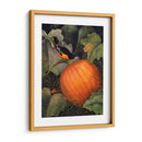 Oriole Y Calabaza - Marcia Matcham | Cuadro decorativo de Canvas Lab