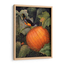 Oriole Y Calabaza - Marcia Matcham | Cuadro decorativo de Canvas Lab