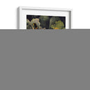 Oriole Y Calabaza - Marcia Matcham | Cuadro decorativo de Canvas Lab
