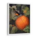 Oriole Y Calabaza - Marcia Matcham | Cuadro decorativo de Canvas Lab