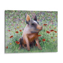 Niña De Las Flores - Marcia Matcham | Cuadro decorativo de Canvas Lab